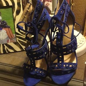 Vince Camuto  Colbolt Blue